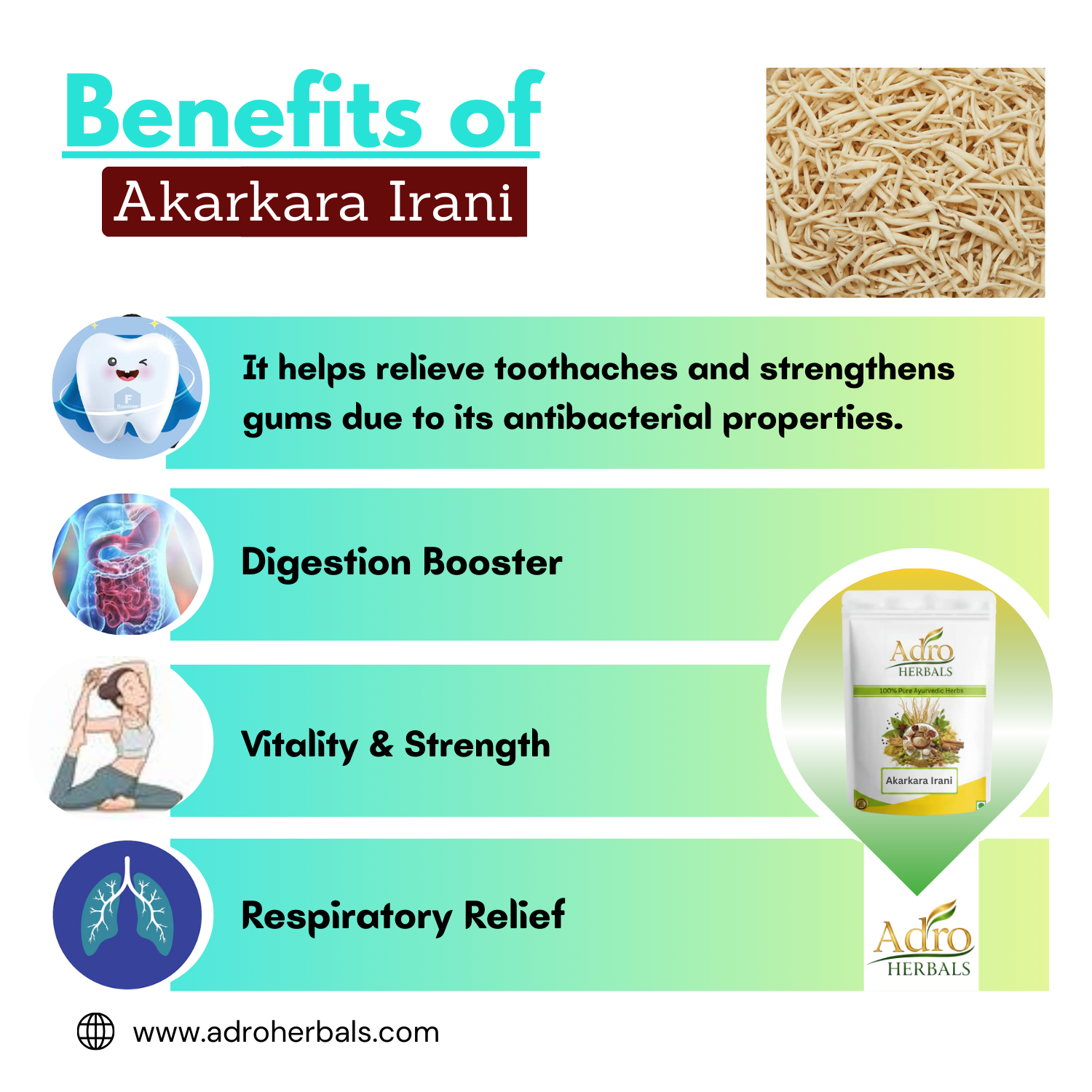 Akarkara (Irani) (Roots) - Akarkara Asli- Anacyclus Pyrethrum - Pellitory Roots by Adro Herbals