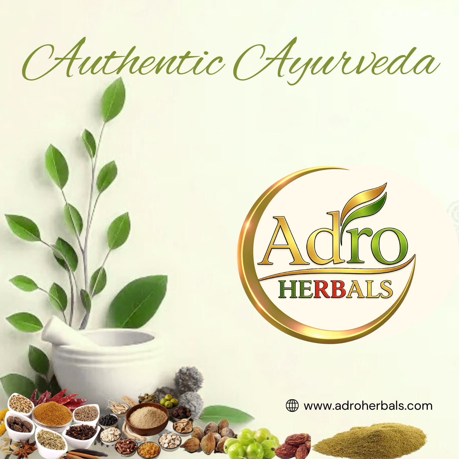 Dhaniya (Powder) - Coriander Powder - by Adro Herbals