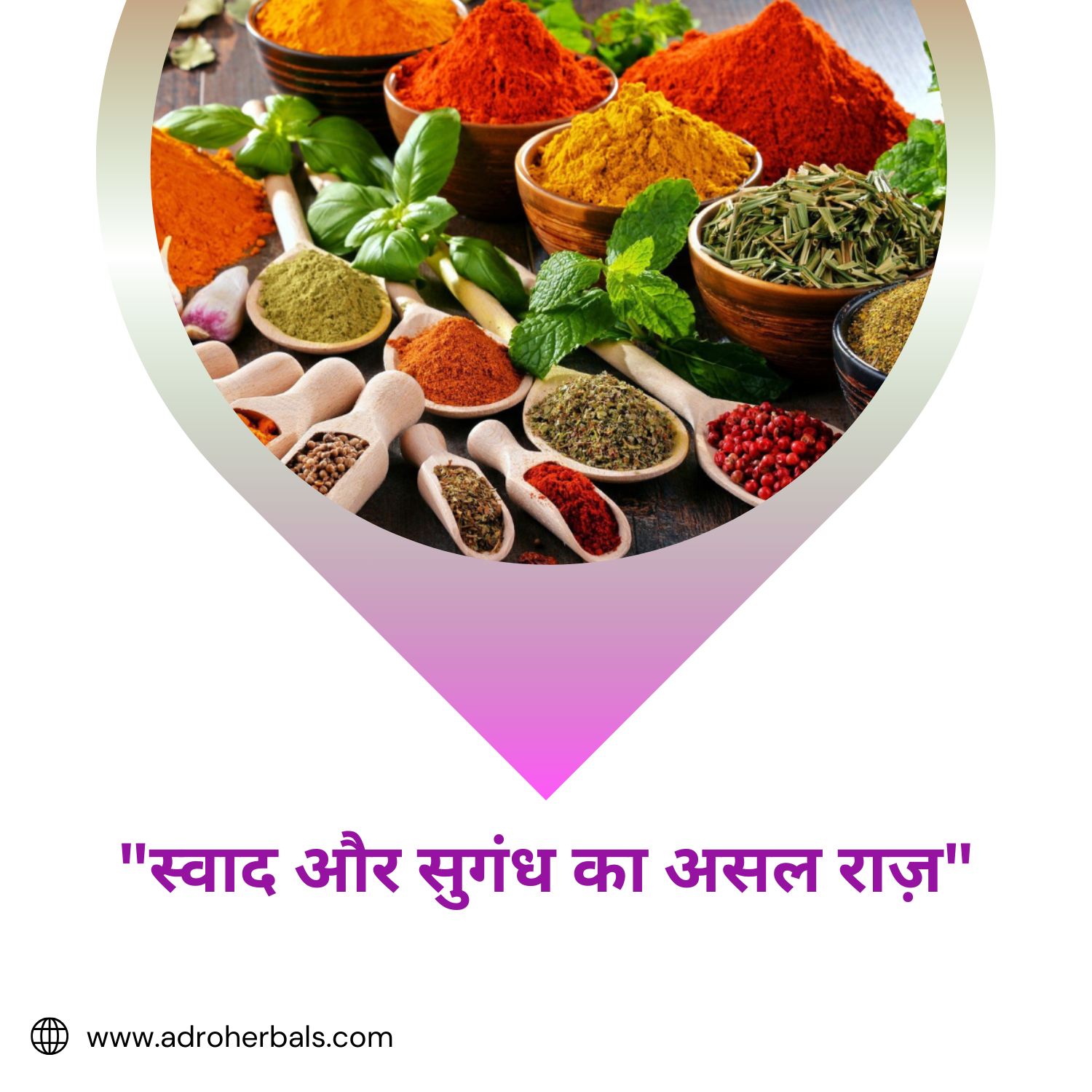 Dhaniya (Powder) - Coriander Powder - by Adro Herbals